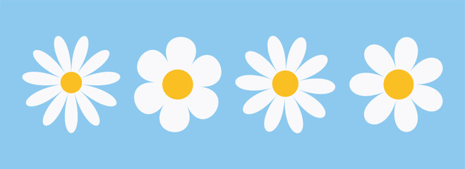 A collection of white chamomile and daisy flower vector illustrations in different styles. This set features cute round flower heads and abstract organic petal design. Camomile flower icon set.