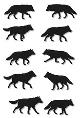 Obraz premium Silhouette Wolf Animation: Elegant Black & White Walk Cycle