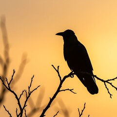 Golden Hour Silhouette