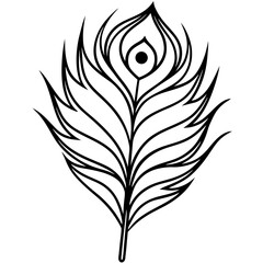 Obraz premium Peacock Feather line art vector
