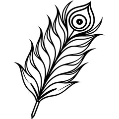 Obraz premium Peacock Feather line art vector