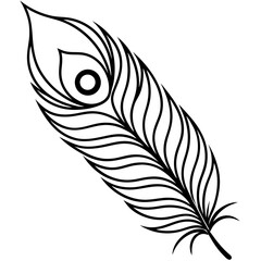 Peacock Feather line art vector