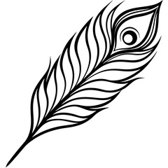 Peacock Feather line art vector