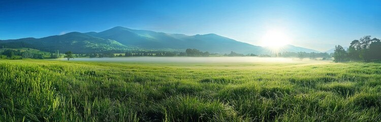 Fototapeta premium A serene landscape combining nature's beauty and peaceful ambiance.