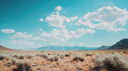 Expansive desert landscape under a vibrant blue sky.  Vast plains stretching to a mountain range.  Light, fluffy clouds drift across a clear cerulean sky