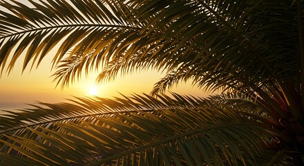 Golden Sunset Through Palm Fronds