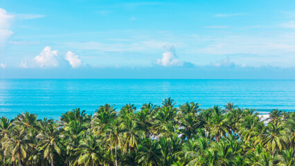 Aerial View of Idyllic Tropical Beach Lined with Swaying Palm Trees and Azure Sea.