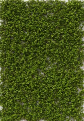 Emerald Green Textile: Lush Texture, Natural Feel