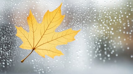 Vivid yellow maple leaf resting on a misty glass window, raindrops forming delicate patterns as the cool autumn light filters through. A cozy, nostalgic scene evoking the beauty of the fall season.