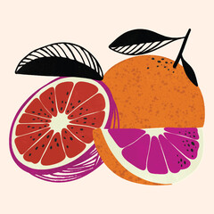 AESTHETIC ORANGE FRUIT DIGITAL ILLUSTRATION