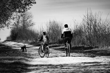 Father and son cycling along a country path, a dog watching from the side.