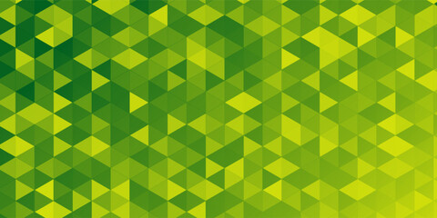 Lowpoly Triangular Geometric Polygonal Cool Abstract Background