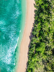 Aerial View of A Tropical Beach with Blue Ocean Waves and Swaying Palm Trees Ideal Summer Holiday...