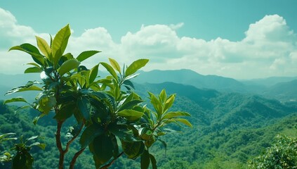 Naklejka premium Lush green foliage atop a mountain vista