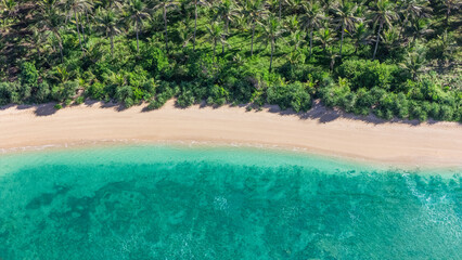 Aerial View of Sandy Beach with Vibrant Palm Trees and Azure Blue Water Ideal Summer Background