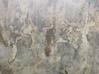Distressed Concrete Wall Texture with Natural Patterns