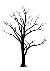 Obraz premium Winter's Silhouette