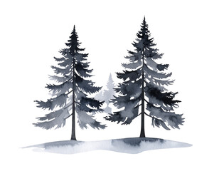 Set of green pine trees on white background
