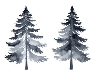 Obraz premium Set of green pine trees on white background 