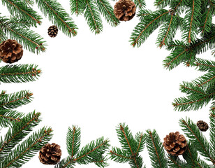 green pine branches
