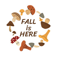 Autumn wreath made of colorful mushrooms with the text Fall is Here in the center. Hand drawn flat illustration on white background. Cozy seasonal design for fall decor and prints. Vector illustration