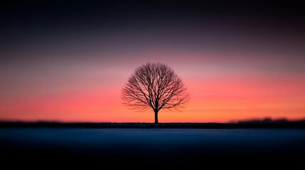Obraz premium A solitary tree against a colorful sunset sky.