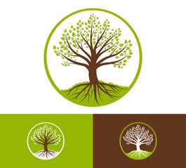 stylized tree circular frame, green leaves and visible roots