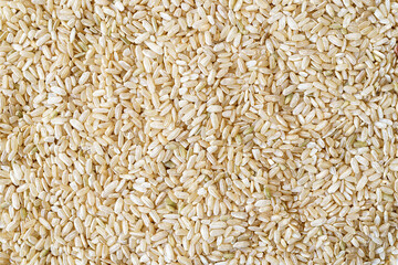 Full frame close up flat lay texture of brown rice for food and nutrition background healthy eating and cooking concept with copy space pattern of organic grains.