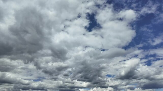 A Timelapse of a cloudscape, low angle view, of cottony white stratus and cumulus clouds evolving under a deep blue sky. 4K