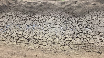 Fototapete Dürre Land dried up and cracked due to drought and shortage of rain  © Vijay Teki