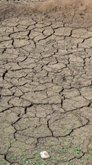 Land dried up and cracked due to drought and shortage of rain