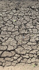 Land dried up and cracked due to drought and shortage of rain