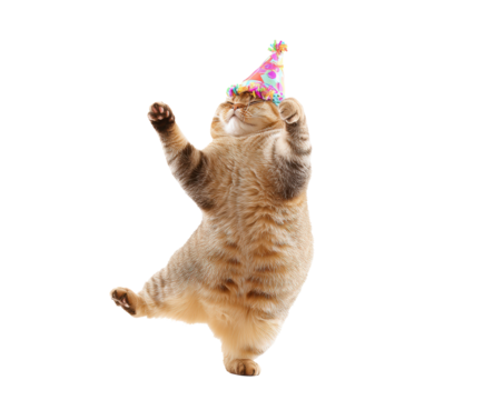 Happy cat wearing festive party hat celebrating a joyful occasion on a transparent background, cut out