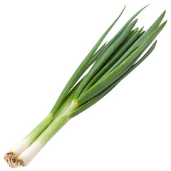 green onion isolated on the white background