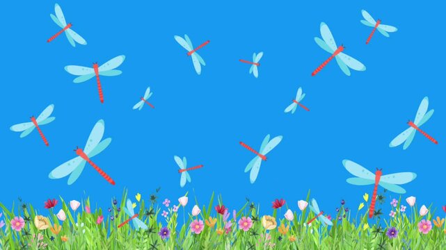 animation of beautiful colored dragonflies flying over a field of grass and flowers