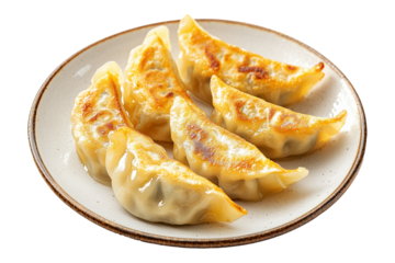 Golden pan-fried Japanese gyoza dumplings served on ceramic plate, isolated on white transparent background, concept of Asian cuisine