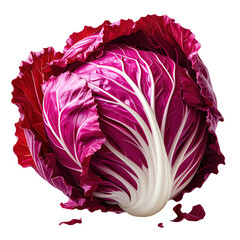 Fototapeta premium Detailed Cartoon Illustration of Isolated Radicchio on White Background with Vibrant Colors in Vector Style for Creative Use
