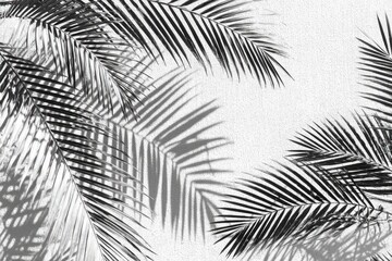 Peaceful Palm Fronds Under a Summer Sky