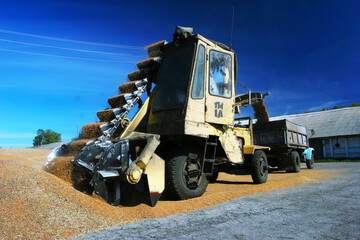 Obraz premium Industrial combine harvester loading grain into truck at farm under clear blue sky