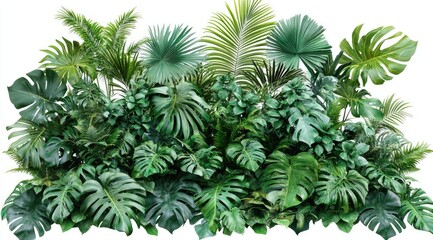 Lush tropical foliage cluster (2)