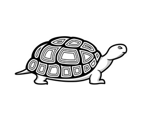 line art turtle image logo illustration