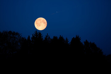 Full Moon, stars, planets and landscape scenery silhouettes.