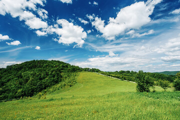 Green meadows stretching under a cloudy blue sky in summer
