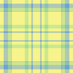 Warm and cozy tartan pattern with rustic stripes and soft woven details, perfect for fall blankets, farmhouse decor, or traditional textile designs.
