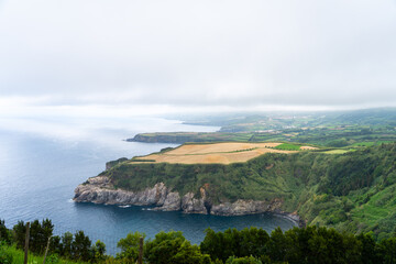 Cliffside farmland patch surrounded by dense forest and open sea