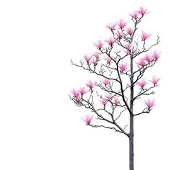 Fototapeta premium tree with pink flowers