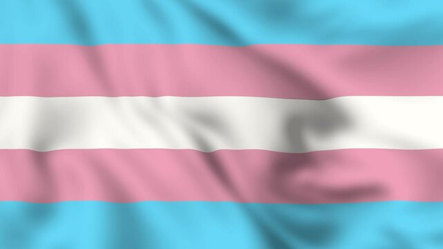 Transgender lgbtq pride Waving flag 4K video animation loop