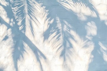 Soft shadows of palm leaves cast on a textured white wall creating a serene and calm atmosphere
