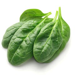 Obraz premium fresh spinach leaves