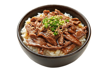 Japanese Gyudon beef rice bowl with sliced meat, green onions, and sesame seeds, in ceramic bowl isolated on white transparent background, concept of Asian cuisine